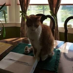 Meet your Posher, Charlotte